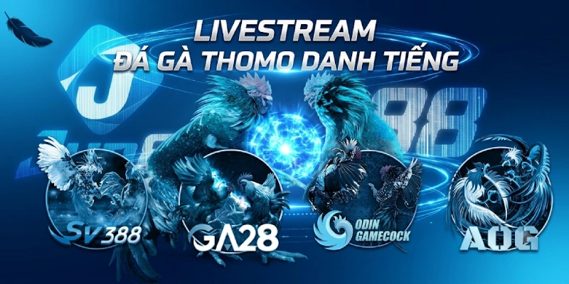 Livestream Đá Gà Thomo Danh Tiếng